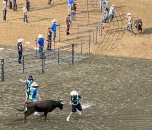 Running with the bulls 1