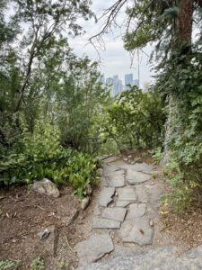 Stone walkways