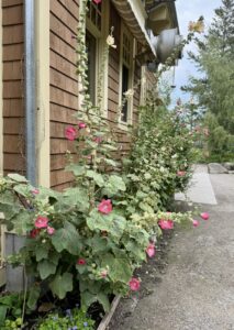 around the side