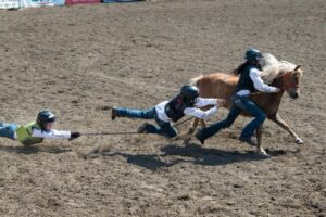 Wild Pony Races photo credit joe lepage photography