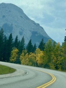 Scenic Drive