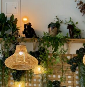 Monki decor