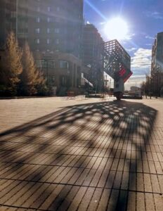 shadows