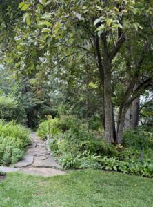 Stone Footpaths