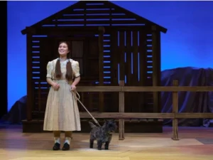 With Dorothy  and Toto Cut out