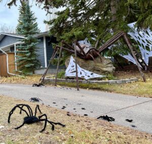 aragog and spiders