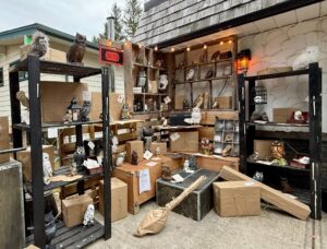 owl shop